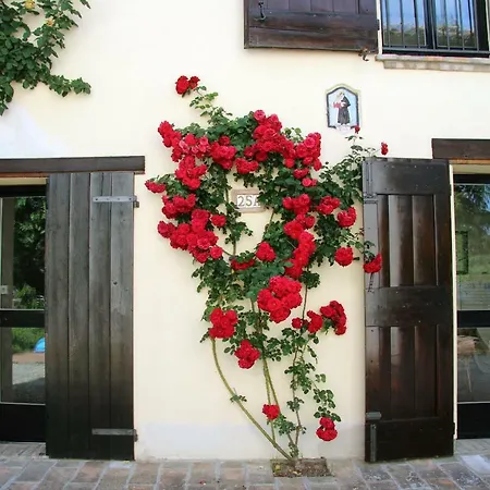 La Casina, Immersa Nel Verde In Centro Storico * Bazzano